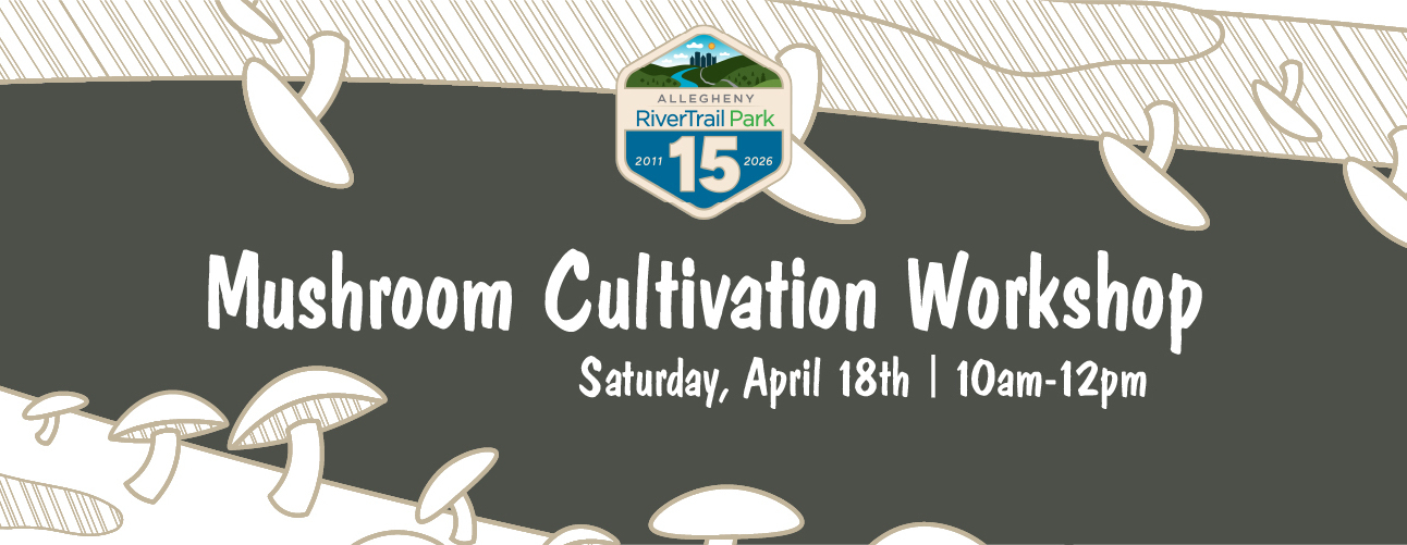 Mushroom Cultivation Workshop 2026